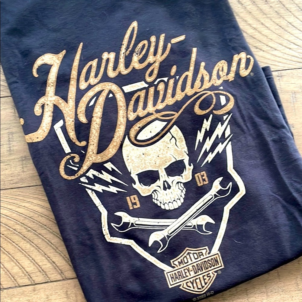 Harley-Davidson Black and Gold Skull Tee